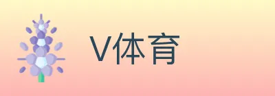 V体育 logo